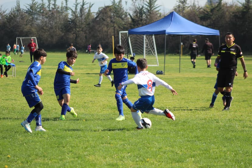 Lucas football image